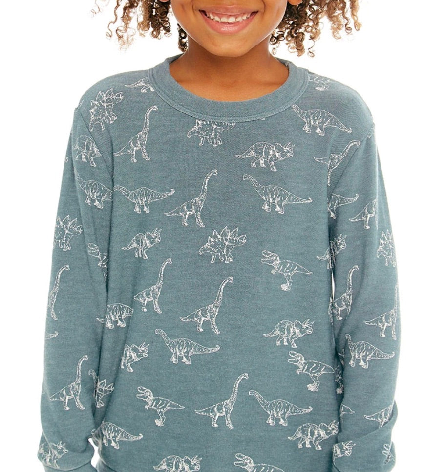 Dino Kids Fleece Pullover Sweatshirt
